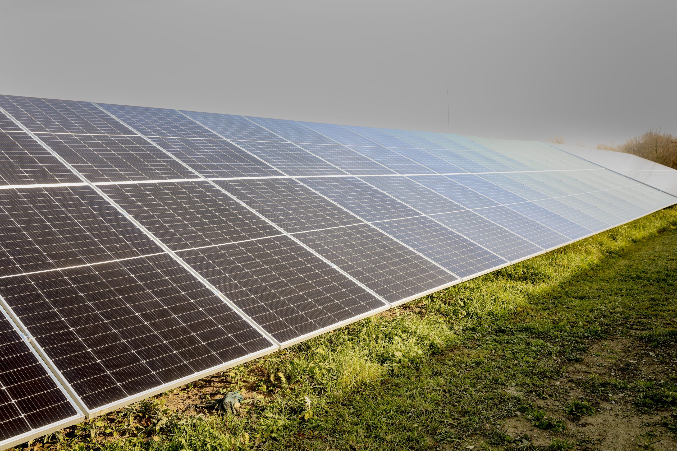 Napelempark-bővítéssel biztosítja jövőre érkező autóbuszai töltését Kaposvár